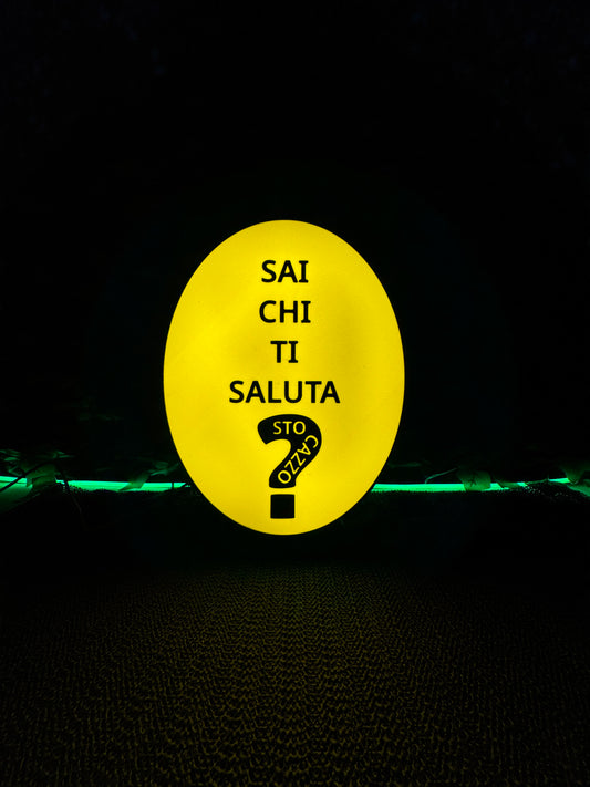 LIGHTBOX 3D “SAI CHI TI SALUTA? STO CAZZO”